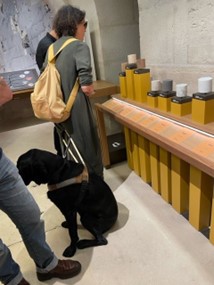 Visuel d'une personne déficiente visuelle avec son chien visitant la nouvelle galérie multisensorielle au musée du Louvre