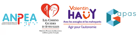 Logos des association partenaires : ANPEA, Les chiens guides d'aveugles, Association Valentin Haüy, Gapas