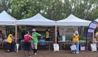 Stands des partenaires
