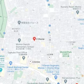 Situation carte Maps de la société Nippon Telesoft