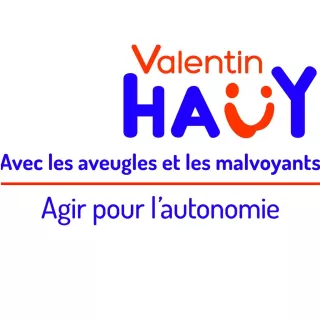 Logo association Valentin Haüy