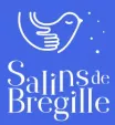 logo des salins de bregille besançon