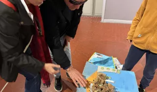Deux personnes déficientes visuelles explorent un support tactile