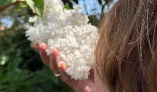 Une tête vue de dos sent une poignée de fleurs... la photo sent bon !