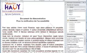 Capture d'écran : Signalisation des erreurs par le vérificateur d’accessibilité.