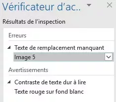 Capture d'écran : Résultats du vérificateur d’accessibilité