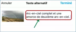 Capture écran du paramètre "Accessibilité" - Remplissage du champ "Texte alternatif"