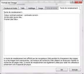 Capture écran : saisie du texte de remplacement sous Word 2010 pour le format .doc. Il n'y a qu'une seule zone texte de remplacement.