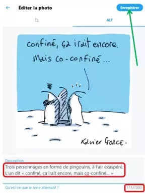 Saisie de la description : « Trois personnages en forme de pingouins, à l’air exaspéré. L’un dit « confiné, ça irait encore, mais co-confiné… »