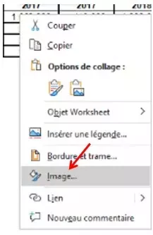 Capture d'écran : Menu contextuel objet Excel incorporé.