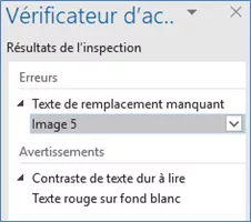 Résultats du vérificateur d’accessibilité.