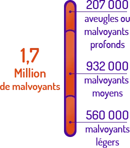 données chiffres malvoyant france