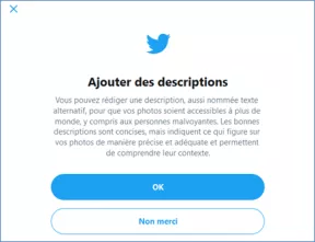Explication fournie par Twitter. Ajouter des descriptions. Vous pouvez ajouter une description aussi nommée texte alternatif pour que vos photos soient accessibles à plus de monde, y compris aux personnes malvoyantes. Les bonnes descriptions sont concises, mais indiquent ce qui figurent sur vos photos de manière précise et adéquate et permettent de comprendre leur contexte.