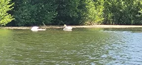 Vue du bateau une vision sereine de deux signes flottants sur l'eau.