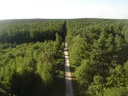 photo de la forêt d'Orléans