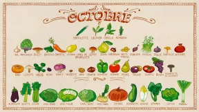 Dessin fruits et légumes mois d'octobre