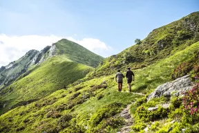 Photo de deux promeneurs qui se baladent en montagne