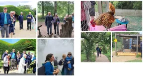 Visite aux jardins