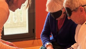 Un tableau en relief est présenté à deux personnes aux yeux bandés